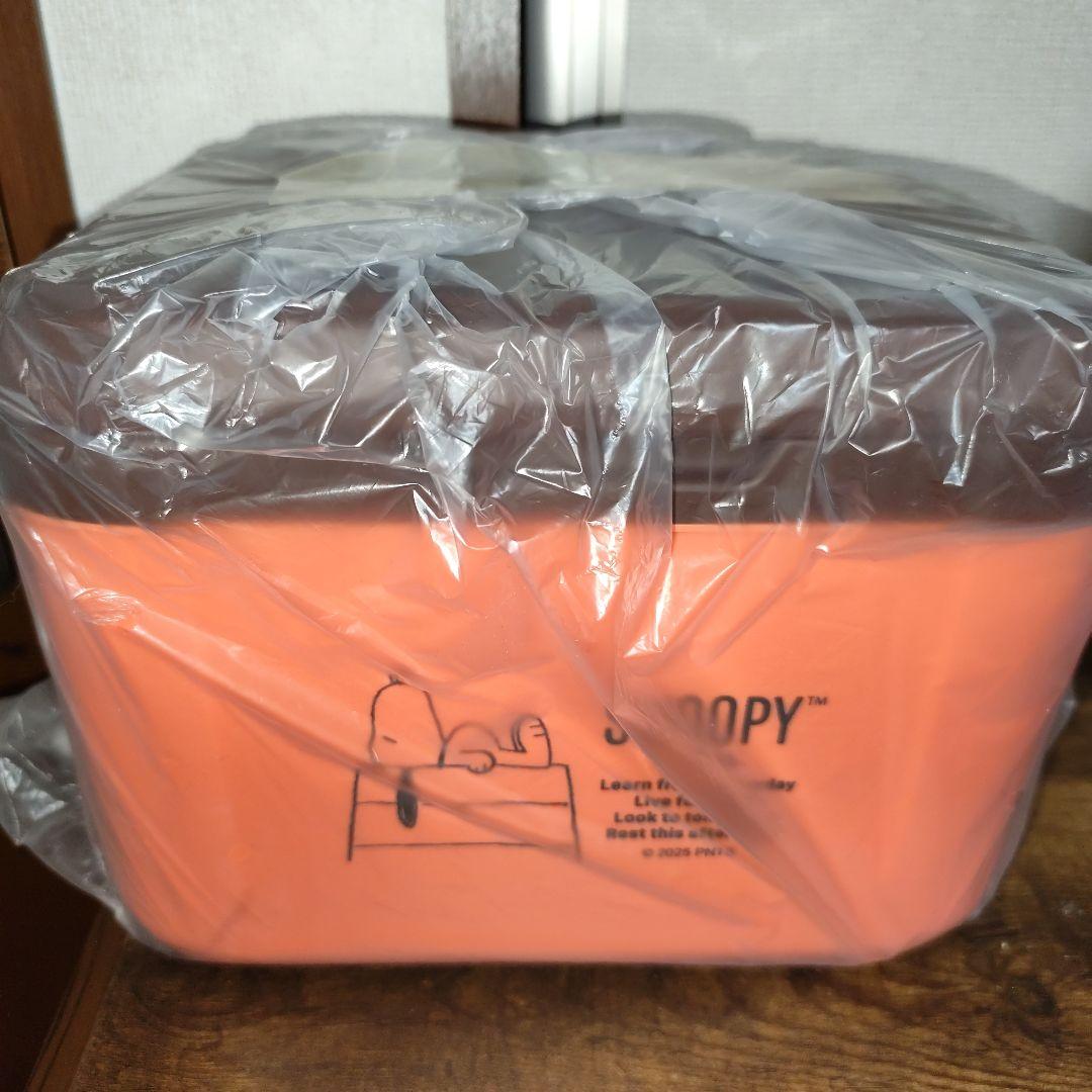 ２０２５年残り福箱【クーラーボックス】