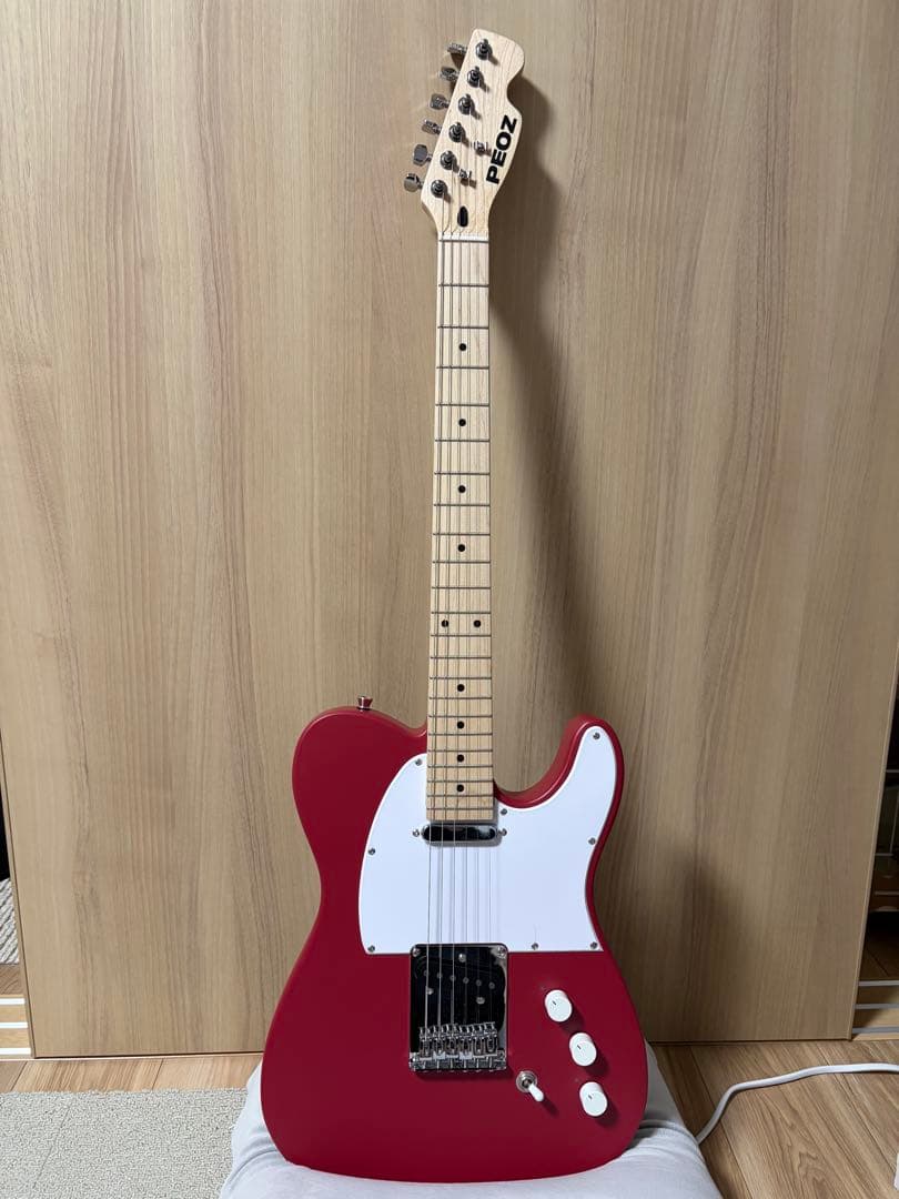 PEOZ スマートギター　純正ケース　オプション付き PEOZ スマートギター 純正ケース オプション付き