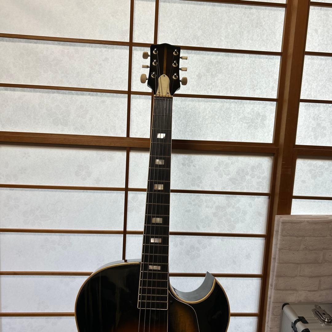 NARDAN NO.120 ナルダンピックギター アーチトップ - メルカリ