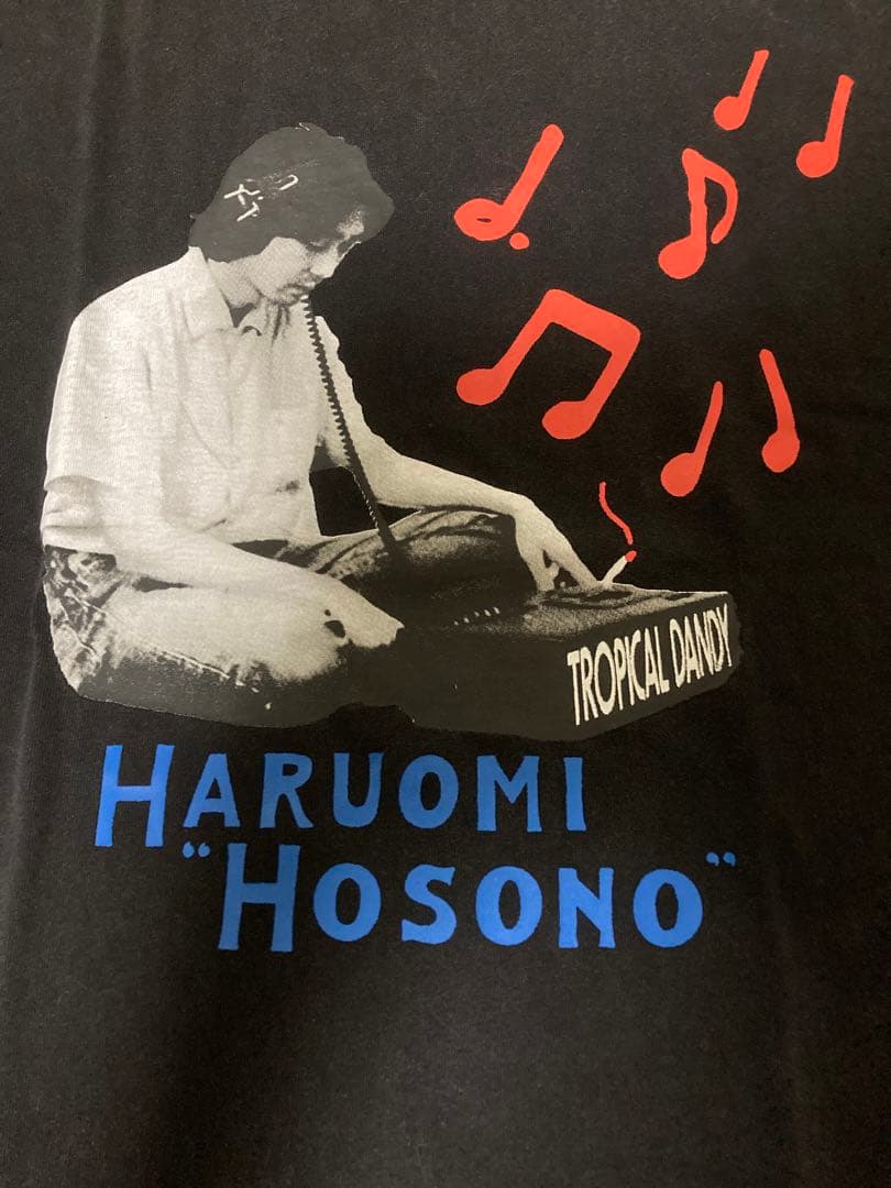 細野晴臣 TROPICAL DANDY Tシャツ L ブラック