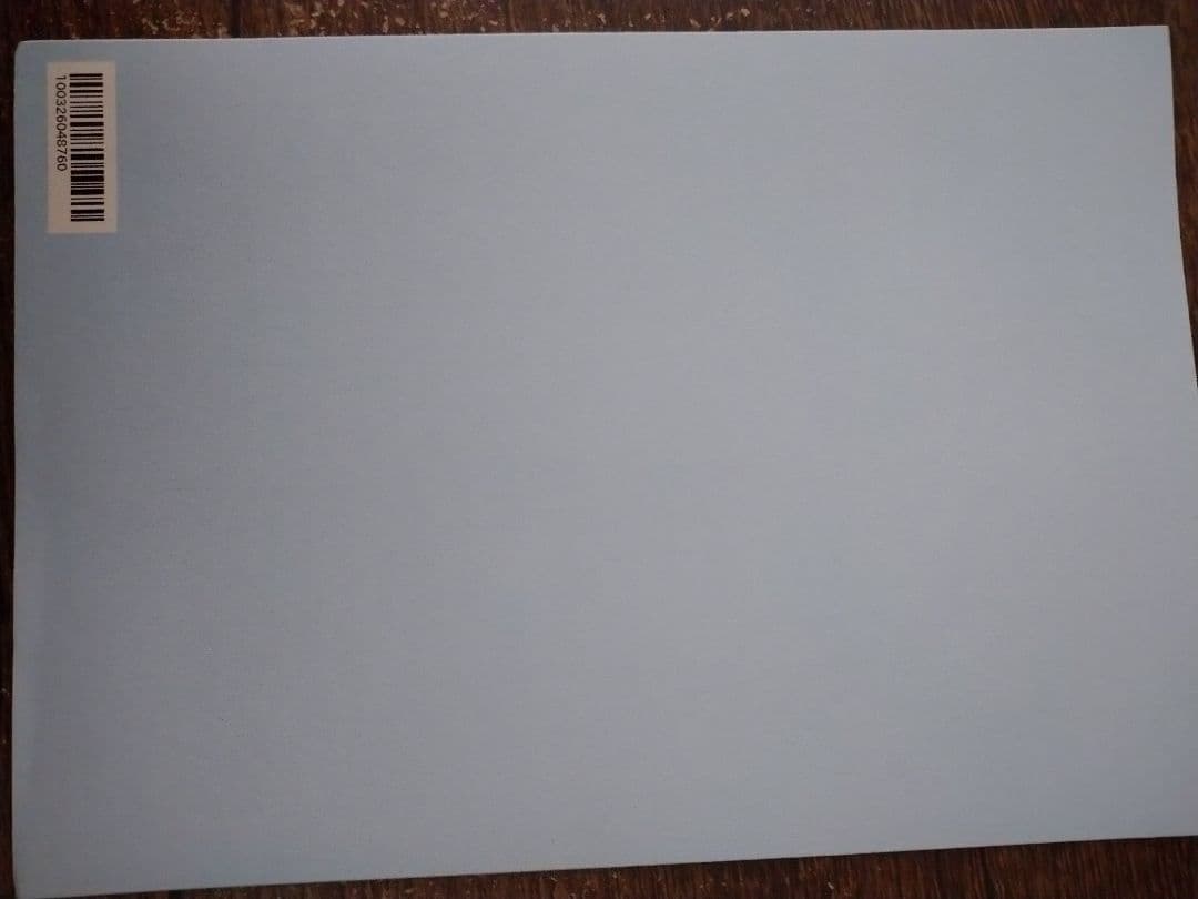 リリー楽綺団 るいしゃむ フォトブック