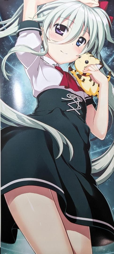 魔法少女リリカルなのは】リバーシブル ポスター6枚セット 公式 グッズ