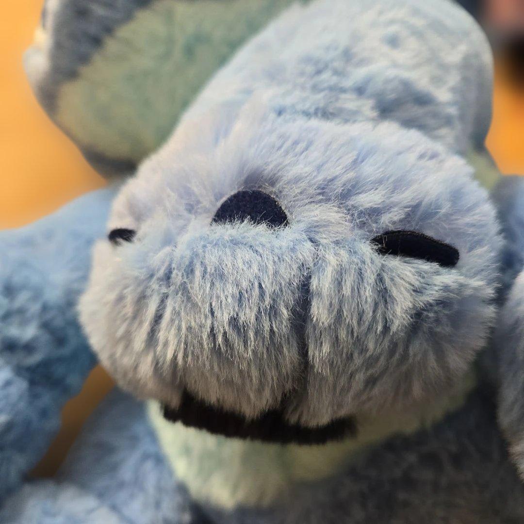 【送料込】Costco上海限定 スティッチ50cmブランケット付き