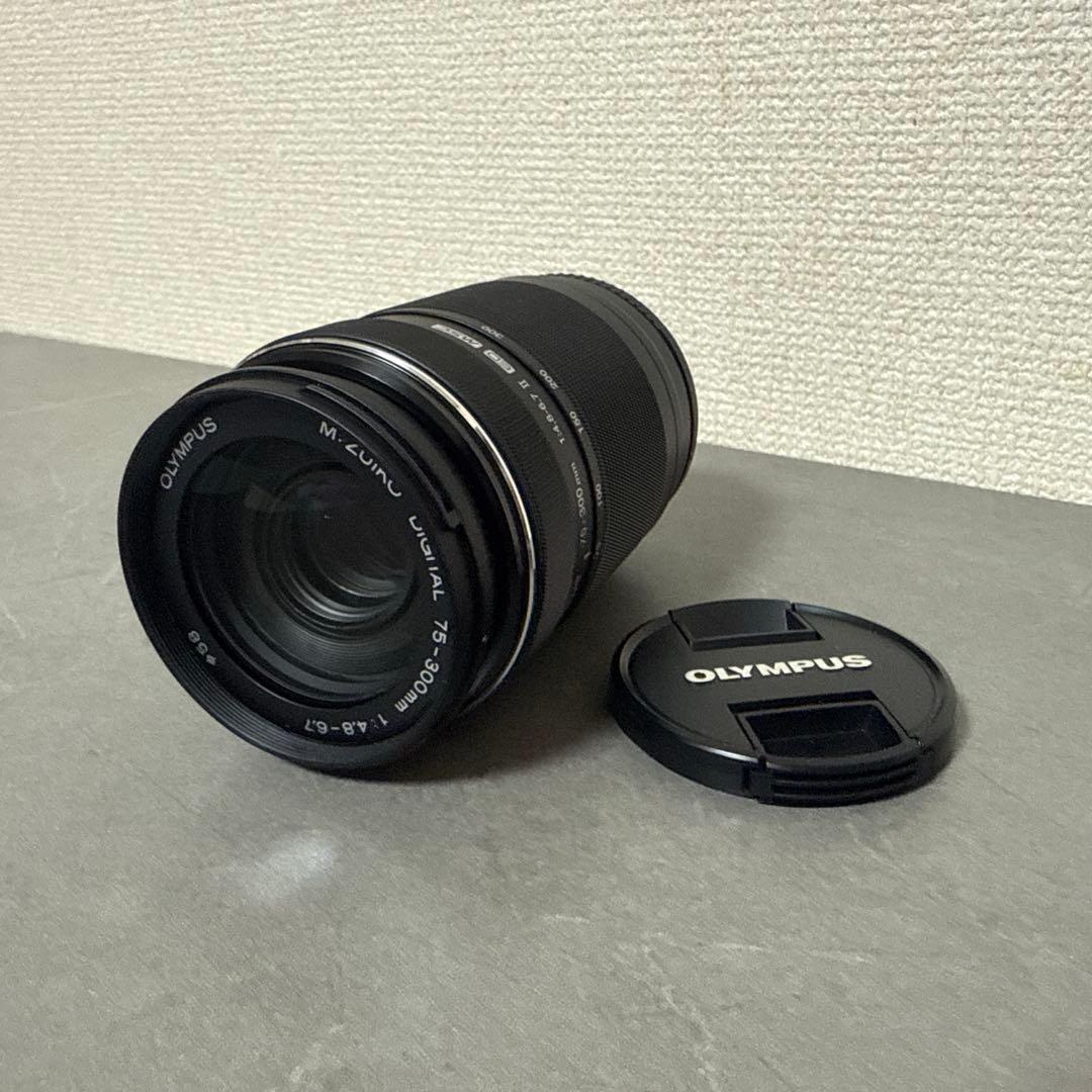 オリンパス M.ZUIKO DIGITAL ED 75-300mm4.8-6.7