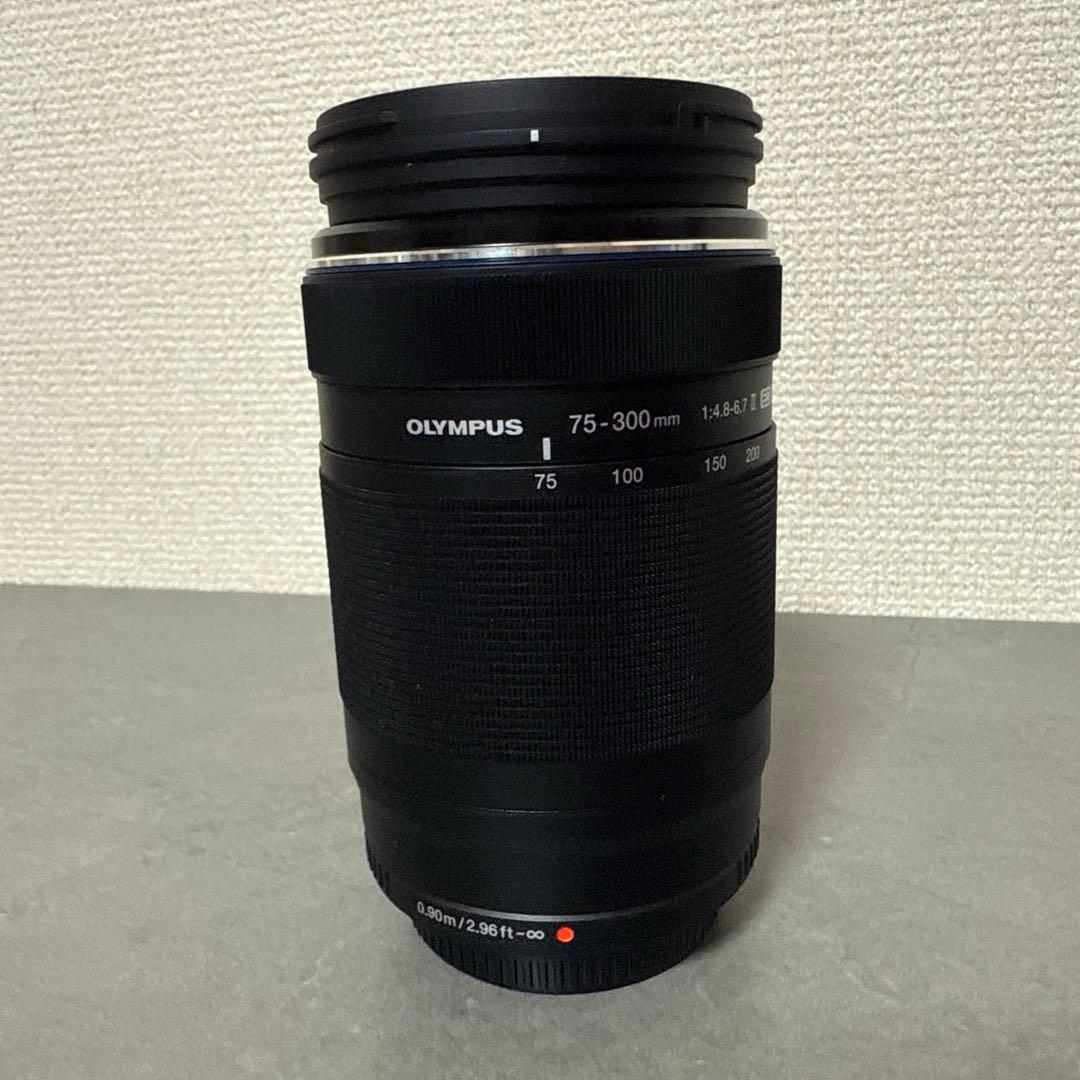 オリンパス M.ZUIKO DIGITAL ED 75-300mm4.8-6.7
