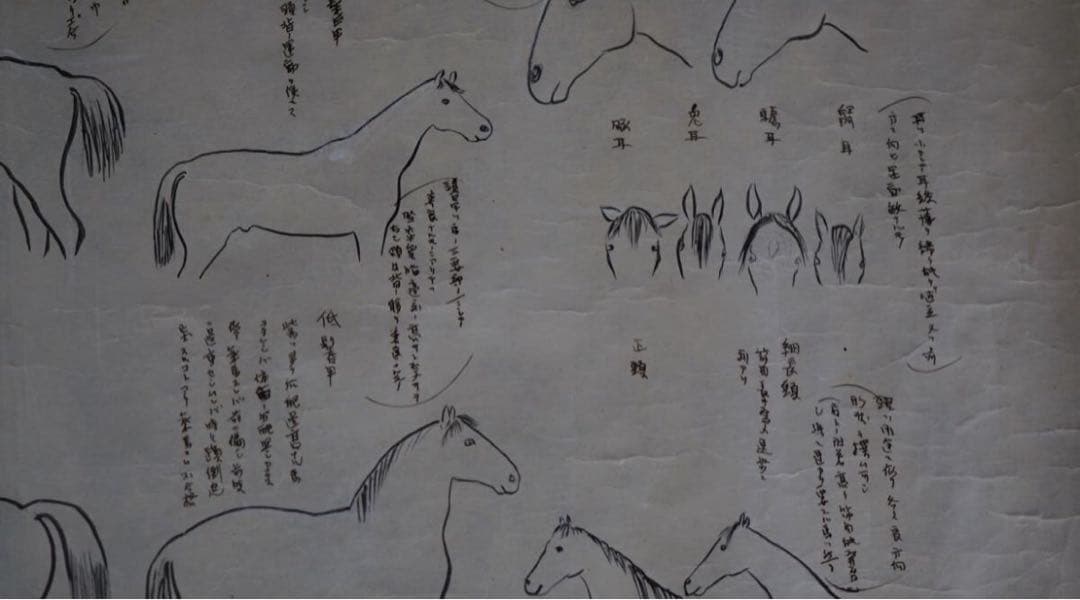 時代 馬学 巻物 まくり 4枚 和本 墨書 馬医書 馬療図 古