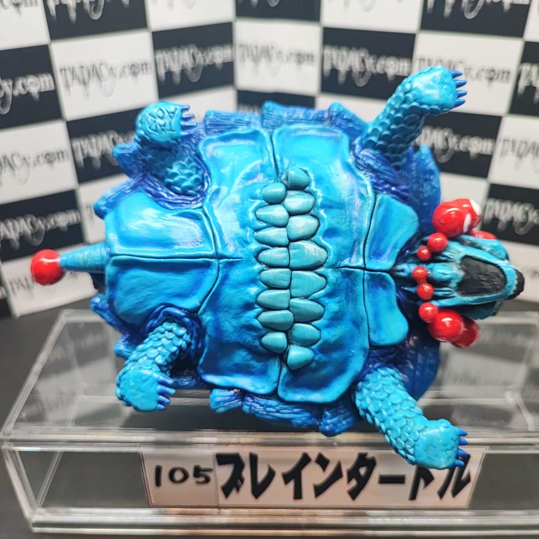 105ブレインタートル