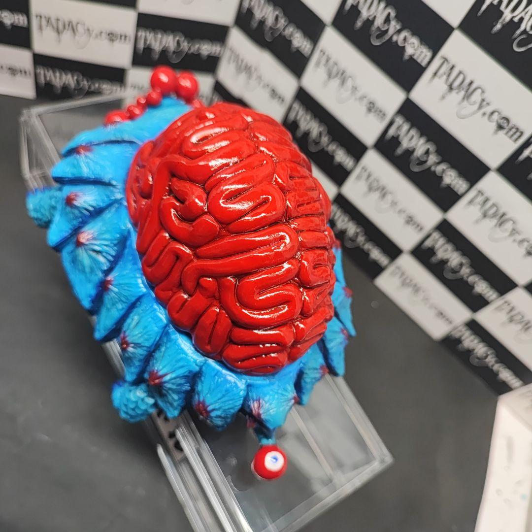 105ブレインタートル