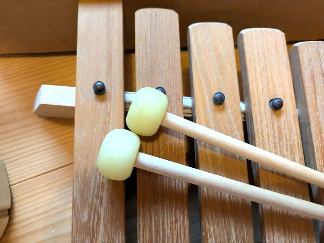 アウリス　シロホン＆ アウリストロムメール　2つセット