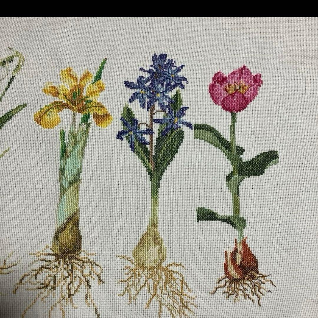 テアグーベルヌール　キット