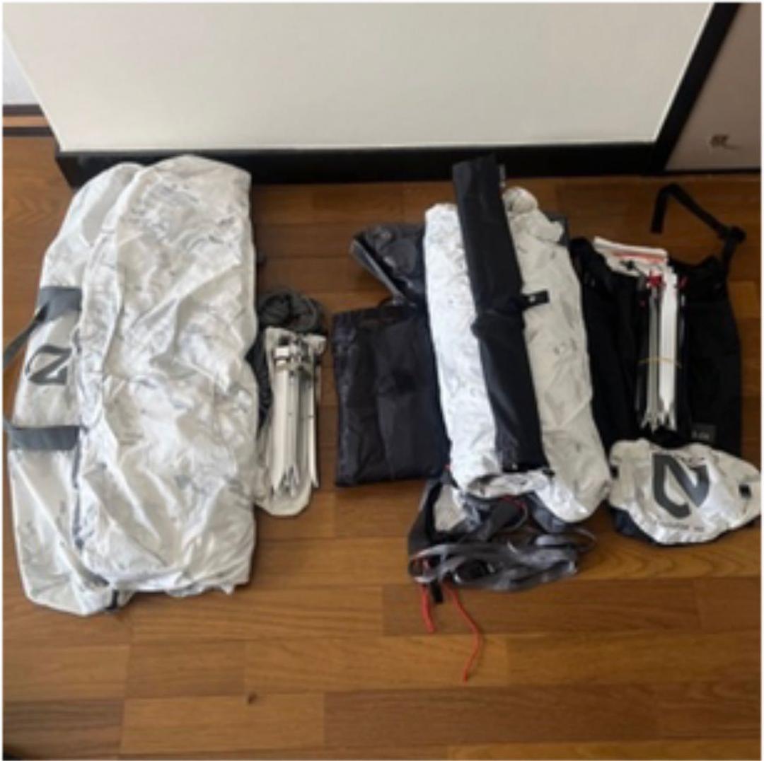 別売り可能】Deliasカザリシロチョウ（スラウェシ島、オス表裏セット）