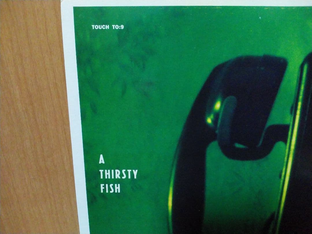 THE HAFLER TRIO．A THIRSTY FISH．レコード！