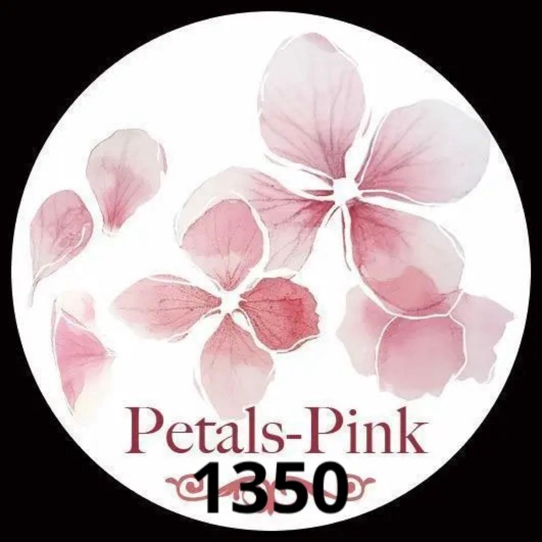 みどちゃん　1002