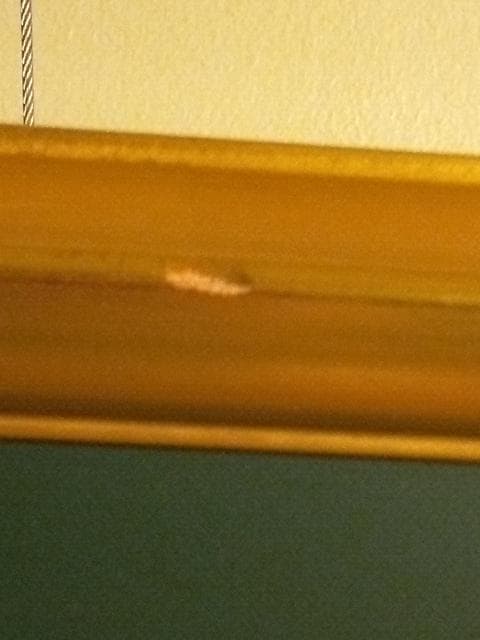 緑と金の木製額縁（水彩画用） - メルカリ