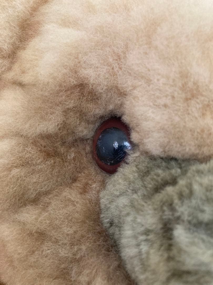 アルパカベア　60cm