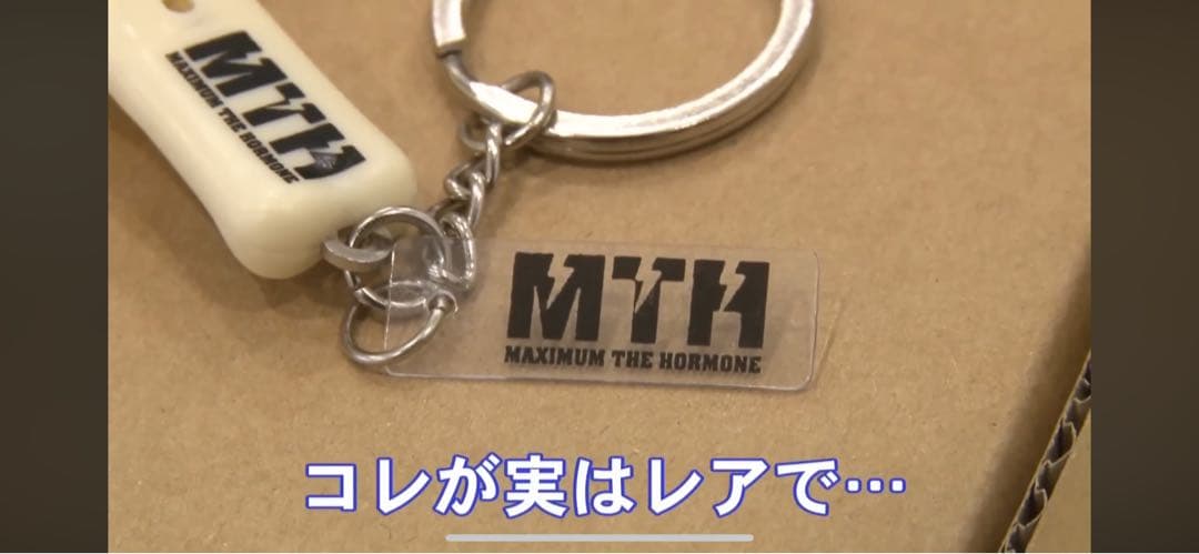 マキシマム ザ ホルモン 静電気除去キーホルダー マキシマム ザ