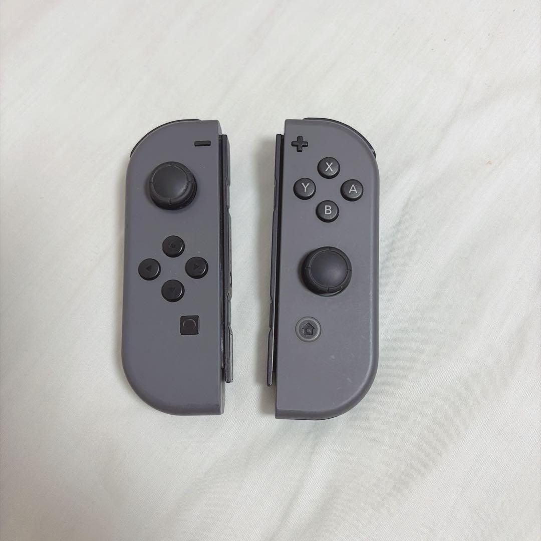 Nintendo Switch グレー 本体 + プロコン（白）