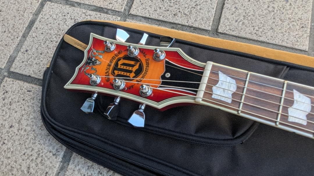 EDWARDS E-RODEO DECADE CHS 楽器・機材