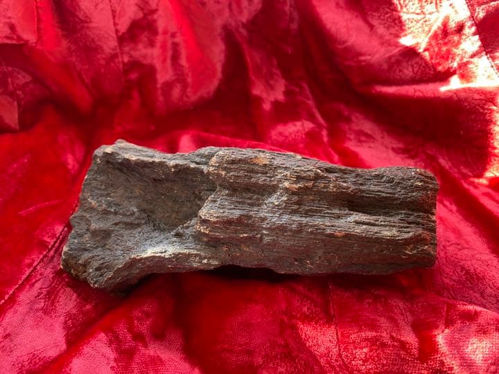 クラシック 1億5000年前の古代樹木化石（珪化木）