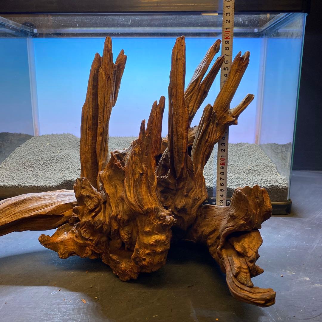 MRW-5822 赤系天然流木 自立流木 1点物 流木 アクアリウム