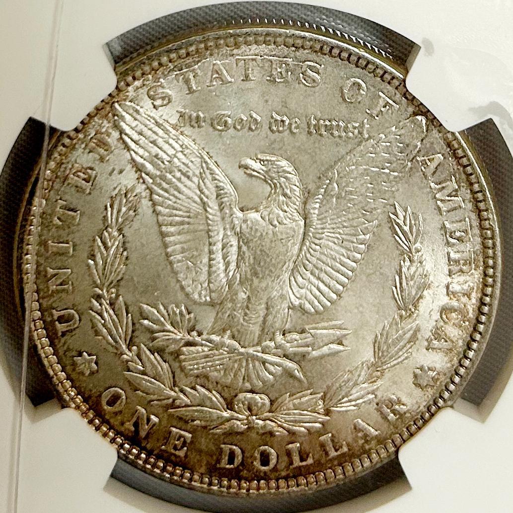 1887年 MORGAN SILVER DOLLAR アメリカ NGC MS63 - メルカリ