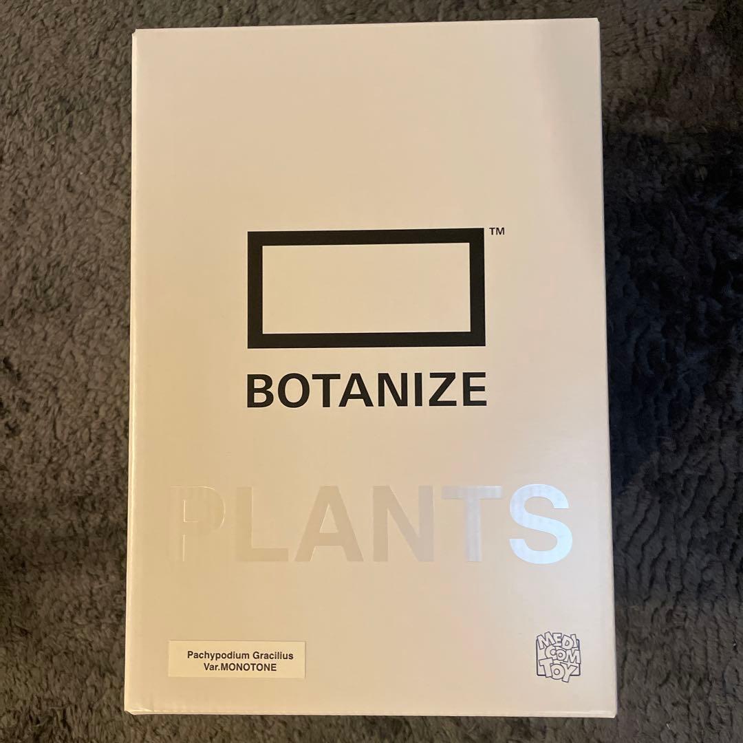MEDICOM TOY × BOTANIZE - メルカリ