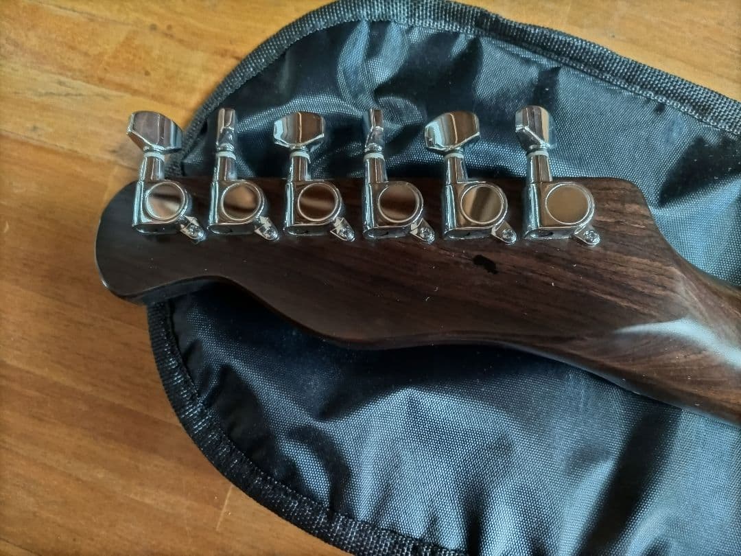 Bacchus エレキギター ダークウッド