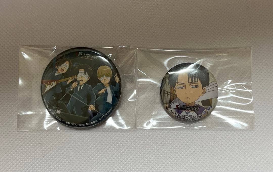 進撃の巨人 巨人中学校 no name 非売品缶バッジ リヴァハンジ - メルカリ
