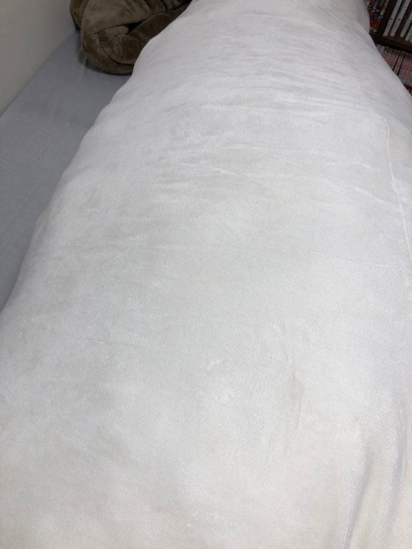 20周年限定　しろたん　ぬいぐるみ　2m