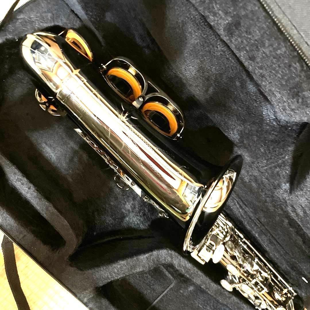 SHUNTIAN アルトサックス　楽器　ケース　マウスピース