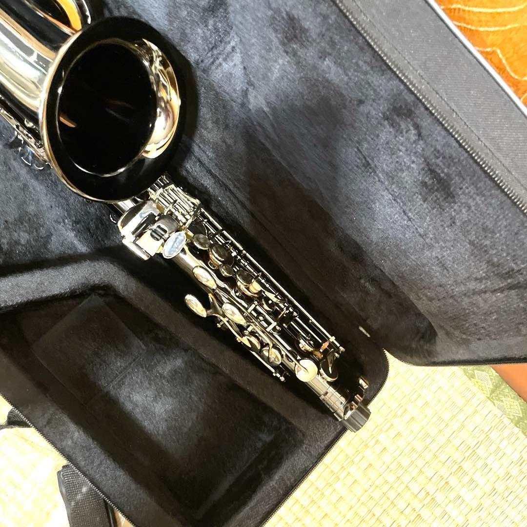 SHUNTIAN アルトサックス　楽器　ケース　マウスピース