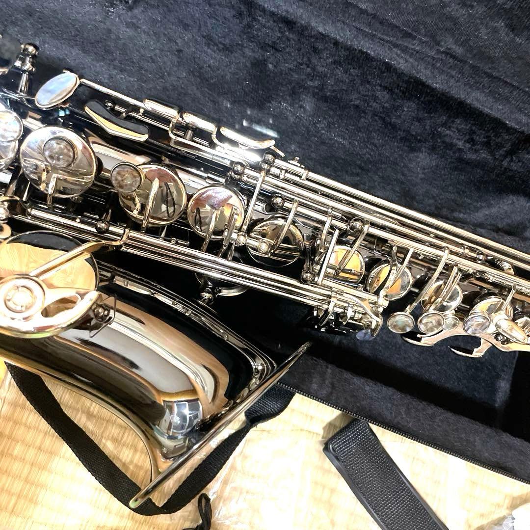 SHUNTIAN アルトサックス　楽器　ケース　マウスピース