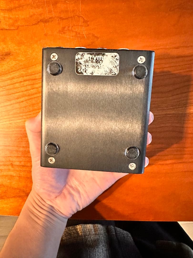 strymon FLINT トレモロリバーブ　v1