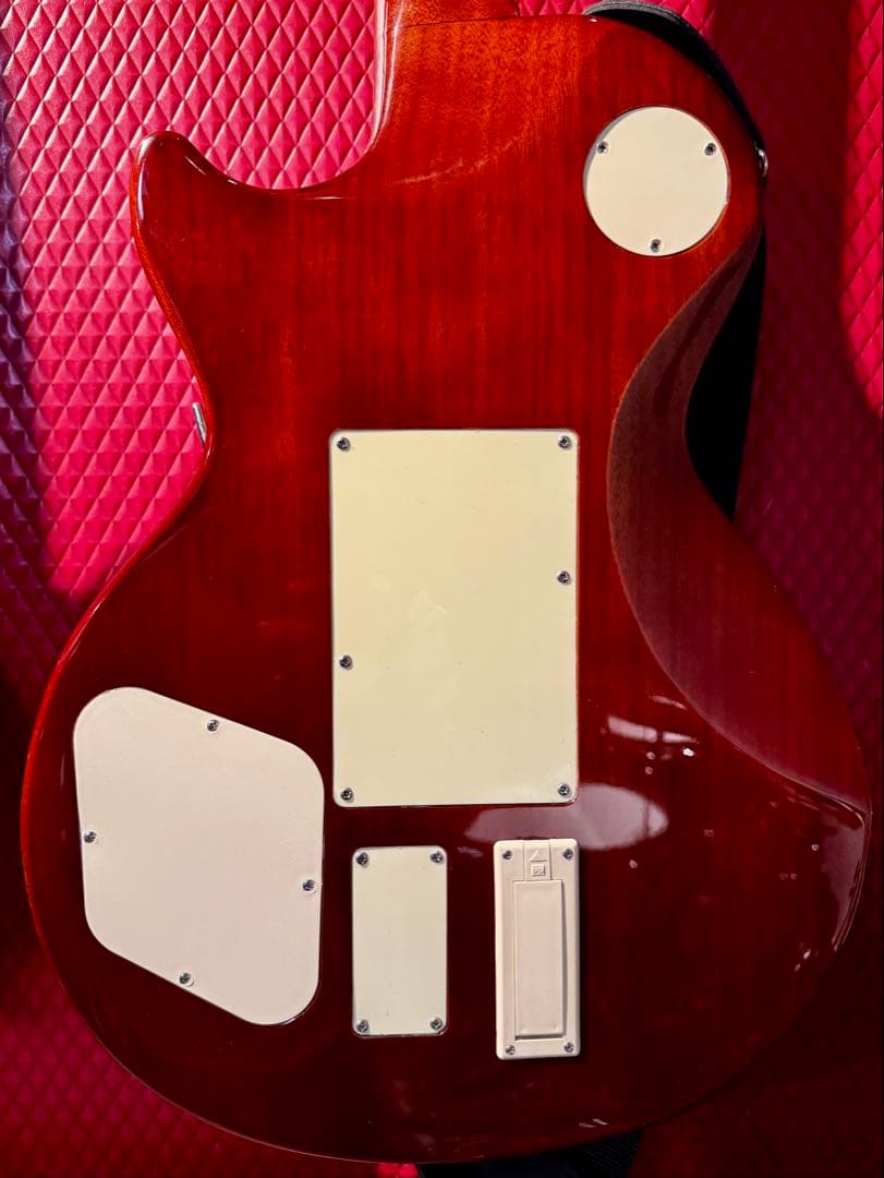 【超希少】Epiphone Alex Lifeson Les Paul