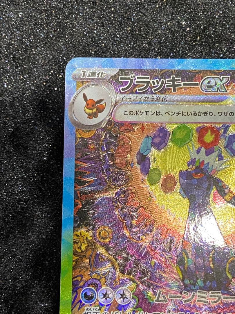 美品　ブラッキーex SAR SV8a テラスタルフェスex 217/187