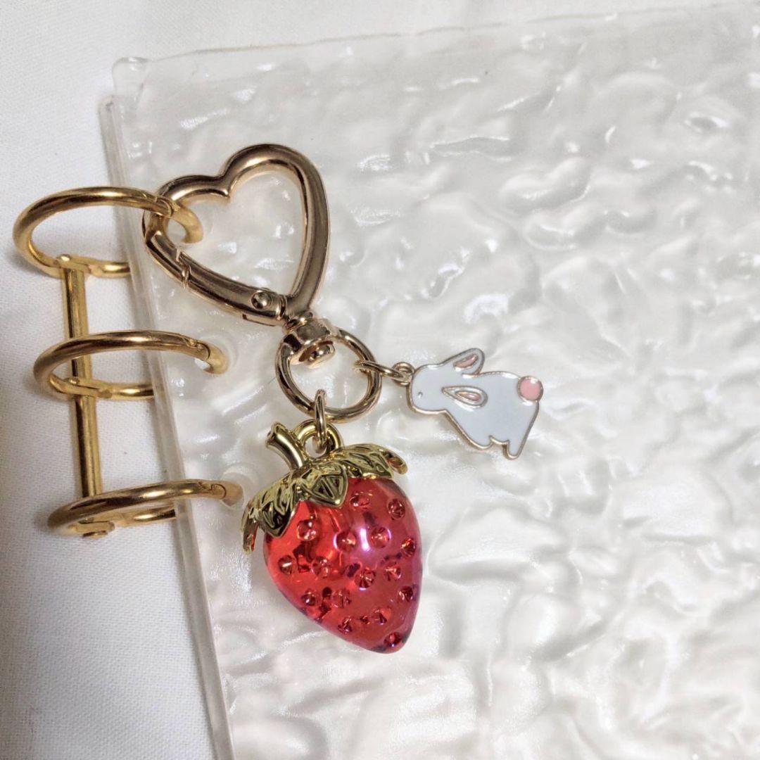 アクリルバインダー リフィル5枚 a6 バインダー貯金 韓国 いちご