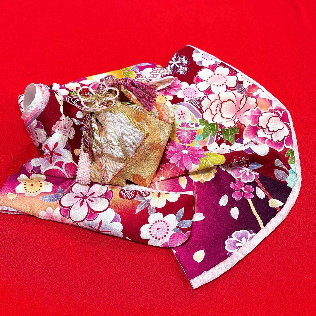 Trilly tutti Brilli SOLANGE ROSA｜小型サイズのワンちゃん – Page 36