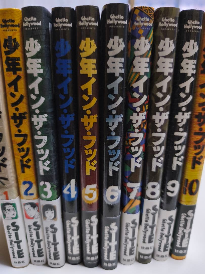 少年インザフッド 全10巻セット