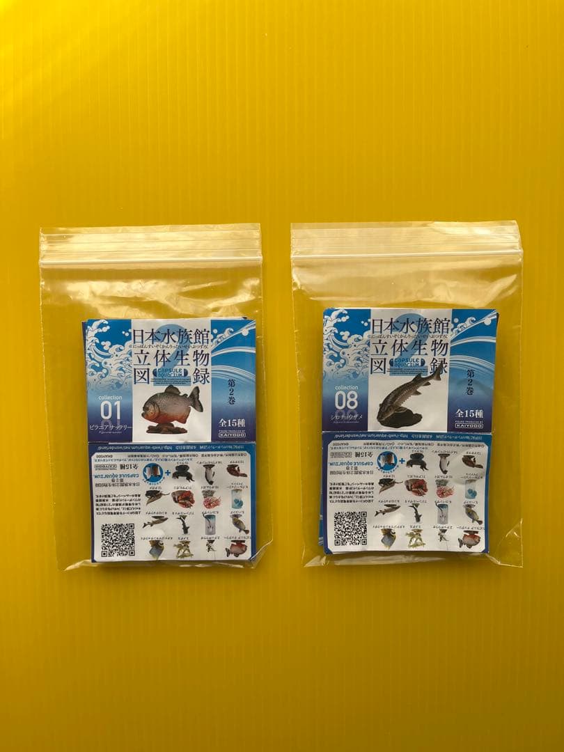 秋の収穫祭】日本水族館立体生物図録 第2巻〈全15種〉フル