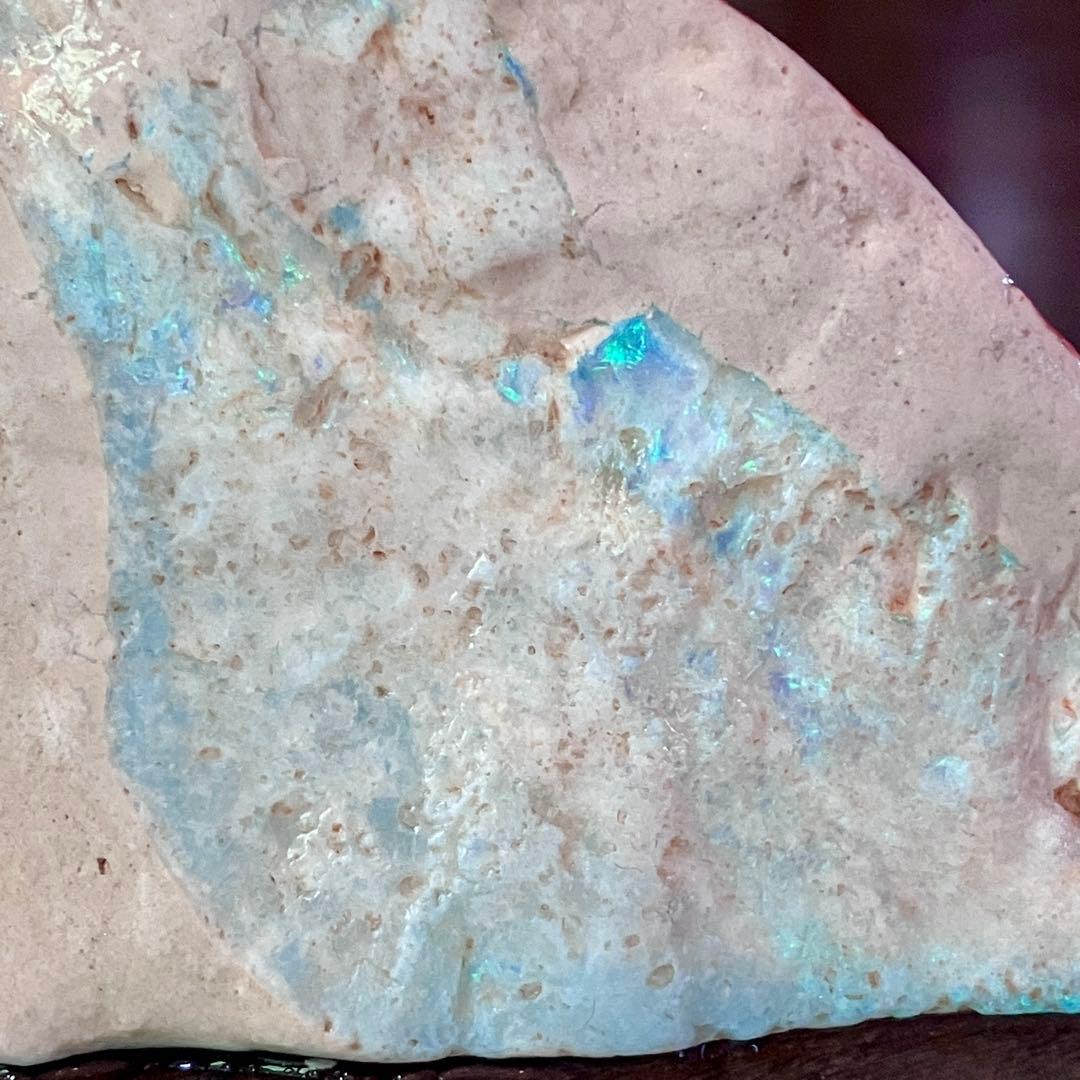 プレシオサウルスのヒレ骨 オパール 化石 標本 オーストラリア