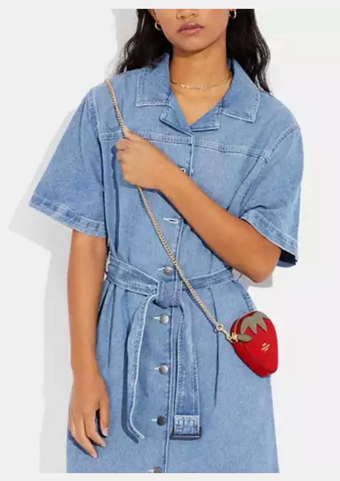 umin☆ 新品coach ストロベリー  ケース