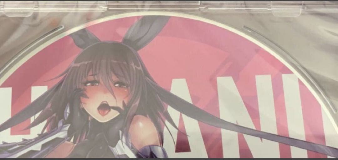 【新品未開封】対魔忍　ドラマCD コミケC102 水城不知火