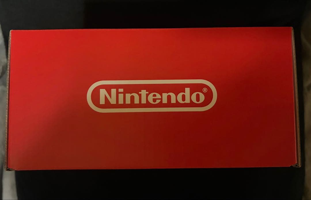 Nintendo Switch D2 日本語専用