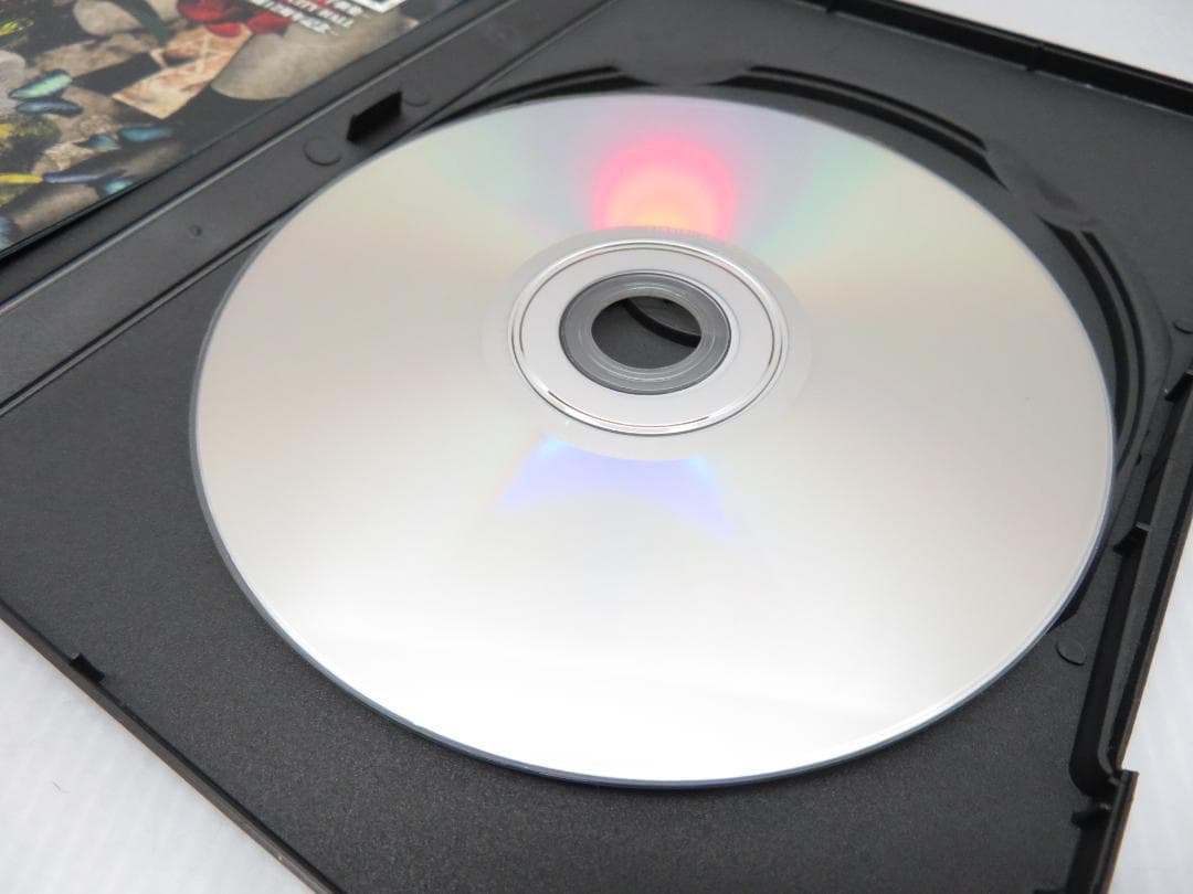 己龍単独巡業 -千秋楽- 花鳥風月~2019年12月16日 DVD 東京ドーム