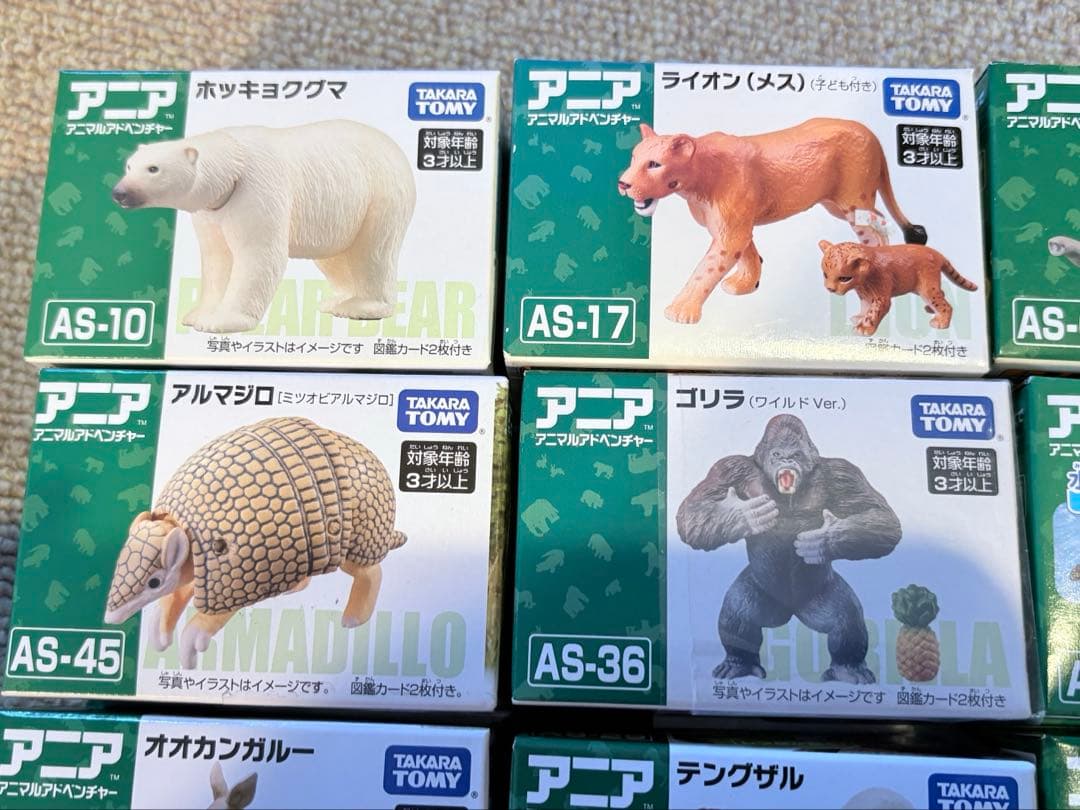 アニア　廃盤アニアセット