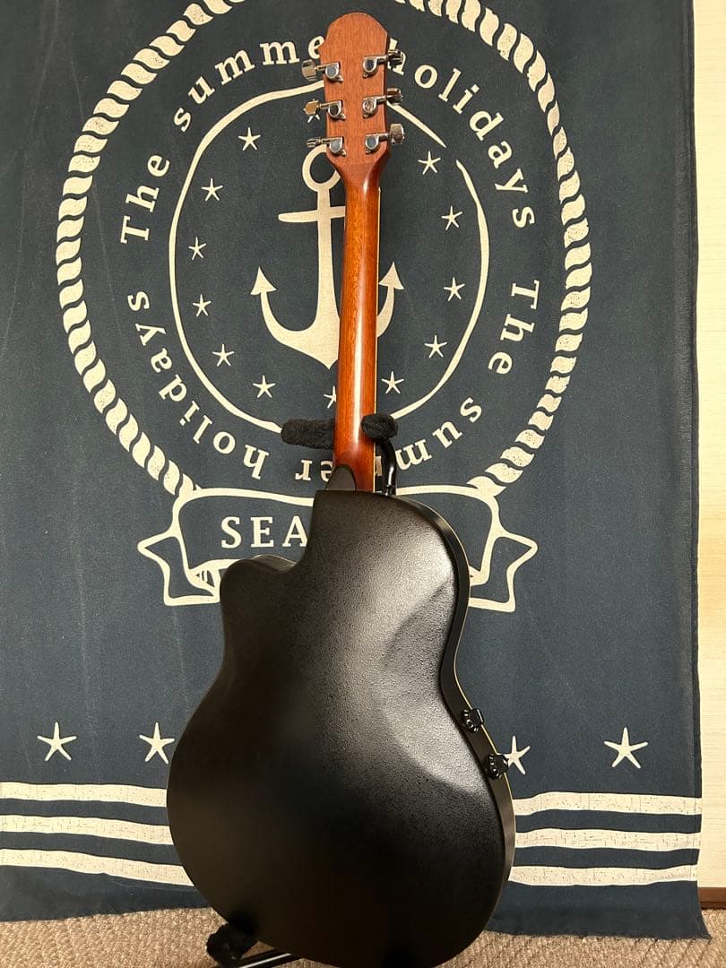 専用❣️90s ビンテージ❣️プロマーチンEA-350 エレアコ