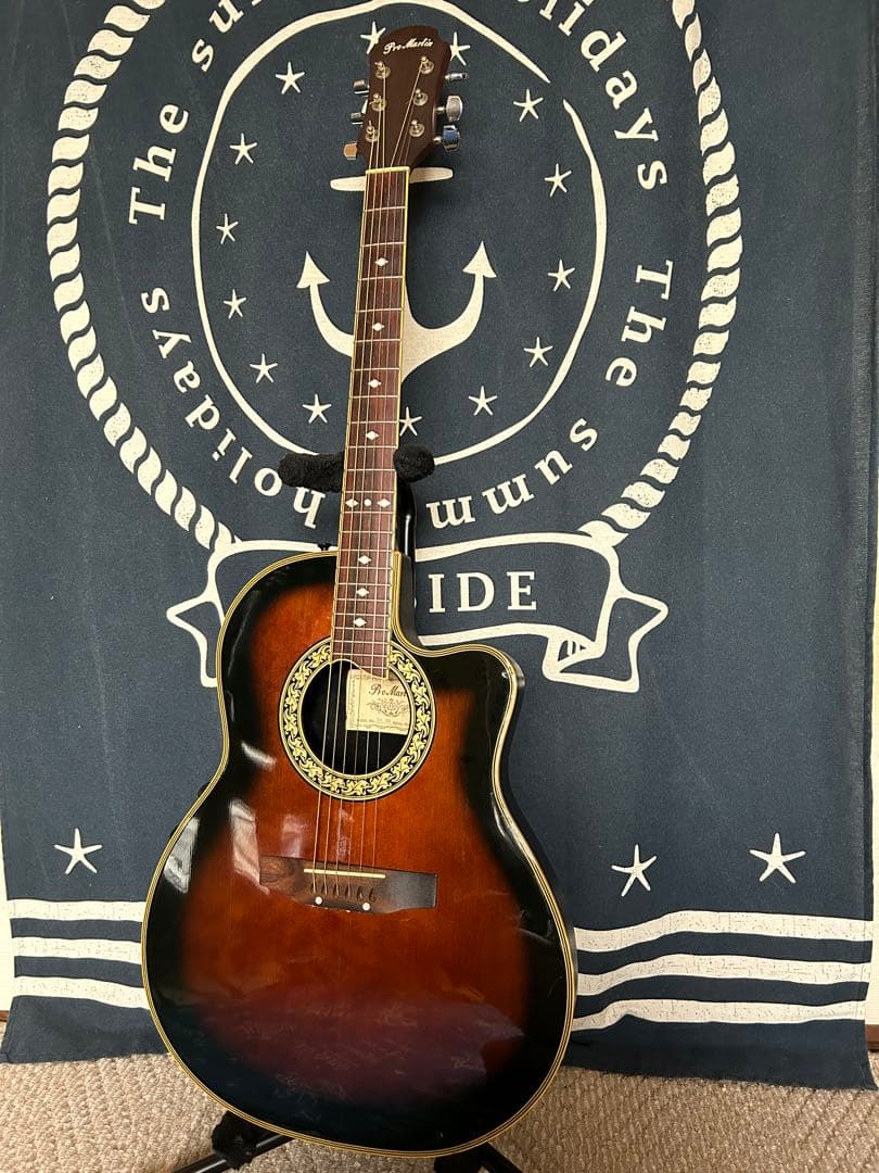 専用❣️90s ビンテージ❣️プロマーチンEA-350 エレアコ