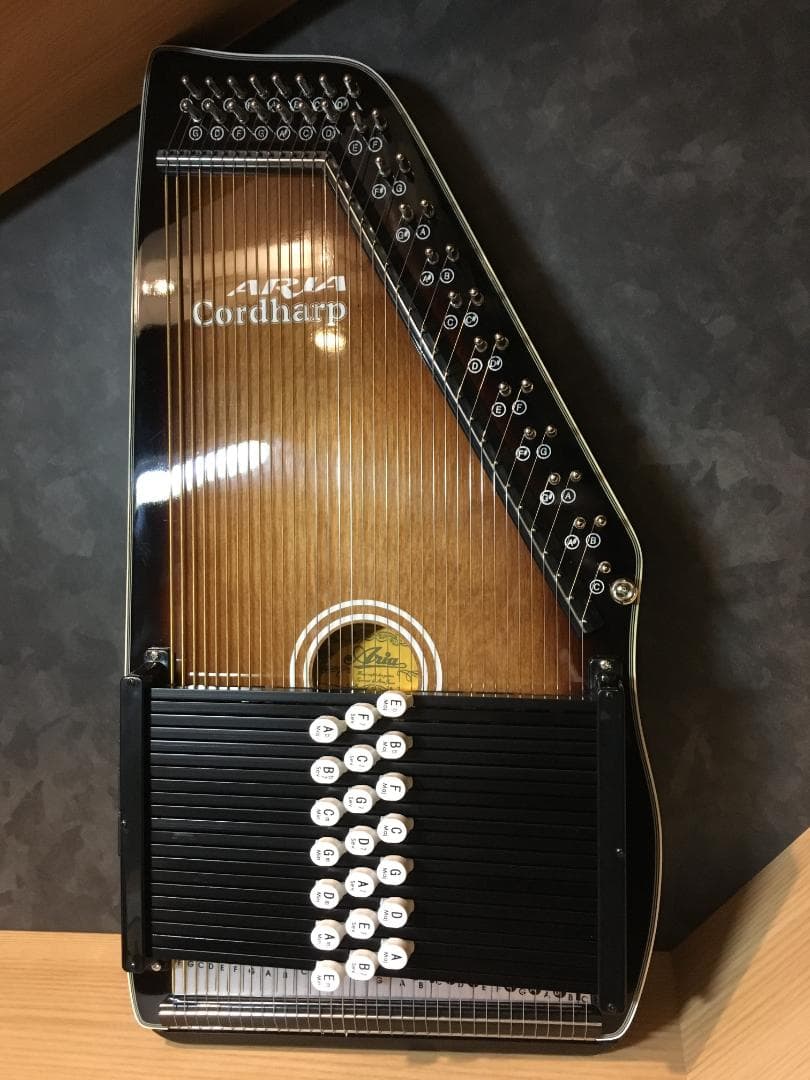 アリア コードハープ ACH-21E