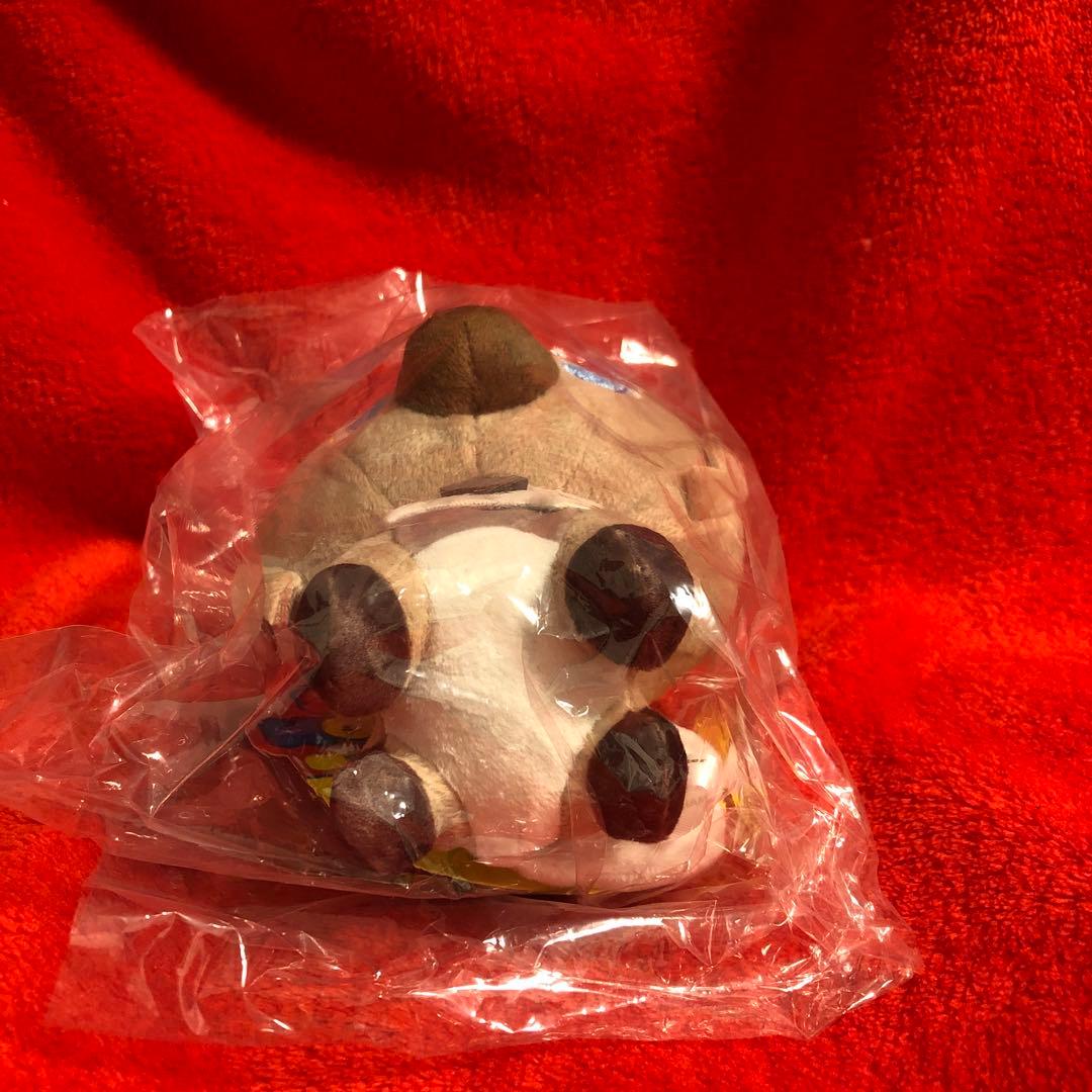 ポケモンセンター　イワンコ　ドール　ポケモンドールズ