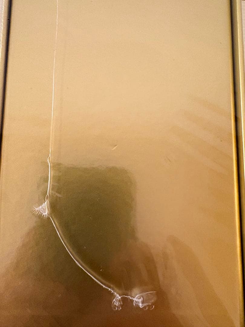 ポケモン25th Anniversary Golden Box ゴールデンBOX